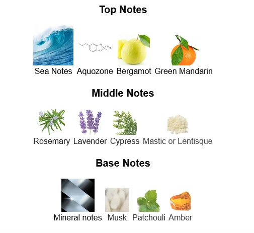 Acqua di Gio Profondo Cologne For Men Notes