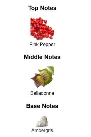 Boss The Scent Elixir For Her Perfume For Women Notes