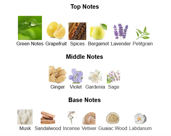 Carolina Herrera 212 Men Cologne For Men Notes