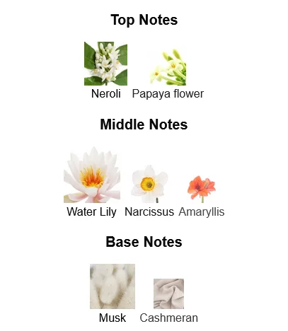 Dolce Gabbana Dolce Eau de Parfum Perfume For Women Notes