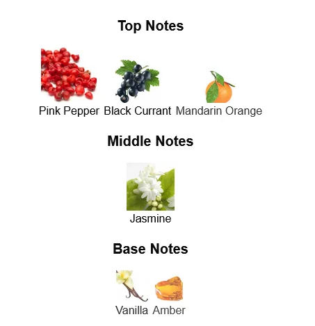 Dolce Gabbana The One Eau de Parfum Perfume For Women Notes