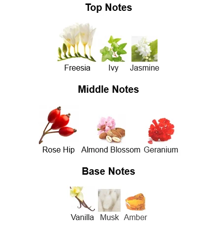 Forever and Ever Dior Dior- Fragrance For Women Notes