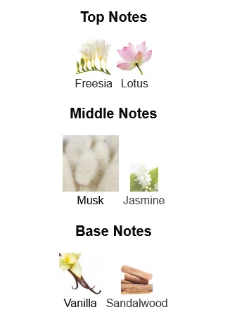 Kayali Musk 12 Perfume For Women Notes
