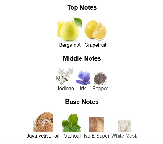 Louis Vuitton Orage Cologne For Men Notes