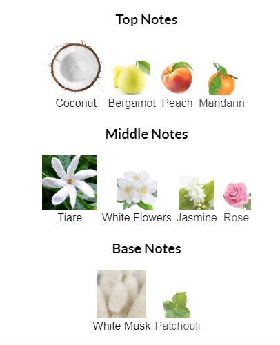 Nyla Perfume by Arabiyat Prestige for women Notes