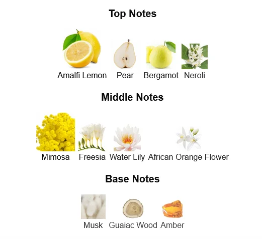 Versace Yellow Diamond Perfume For Women Notes