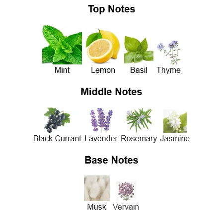 Xerjoff Torino21 Cologne For Men Notes