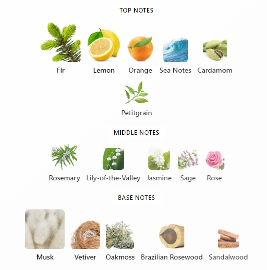 Abercrombie & Fitch Firece Notes