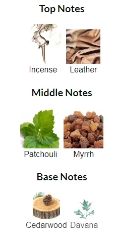 Bottled Absolu Hugo Boss Notes