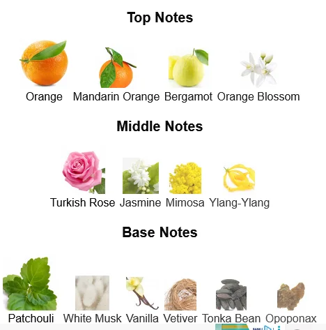 Chanel Coco Mademoiselle Eau de Parfum Perfume For Women Notes