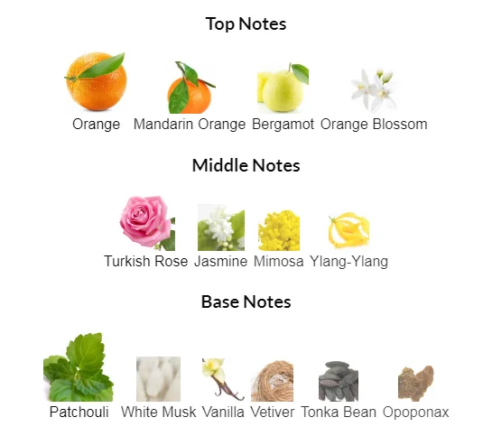 Chanel Coco Mademoiselle Notes