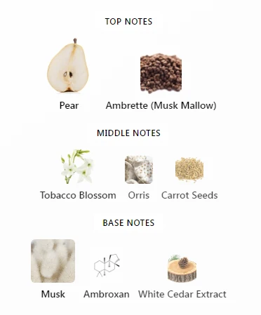 Clean Reserve Radiant Nectar Notes