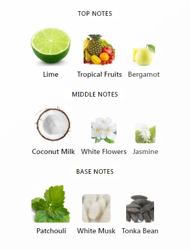 Creed Virgin Island Water Notes