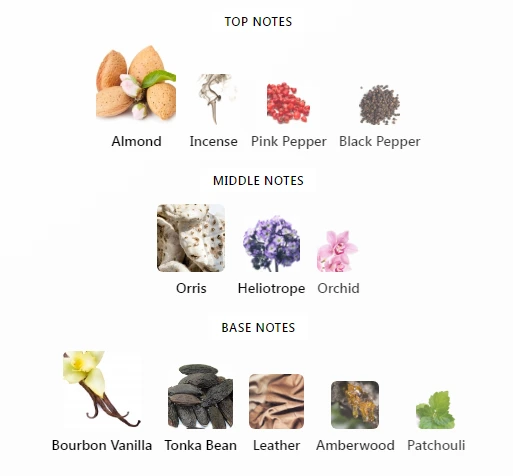Delphinus Creed Notes