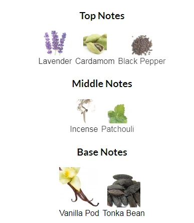 Invictus Victory Elixir Rabanne Notes