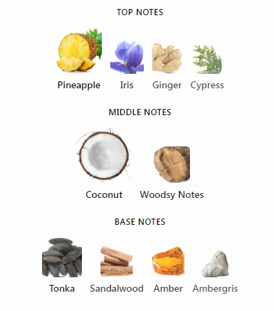 Island Khadlaj Perfumes Notes