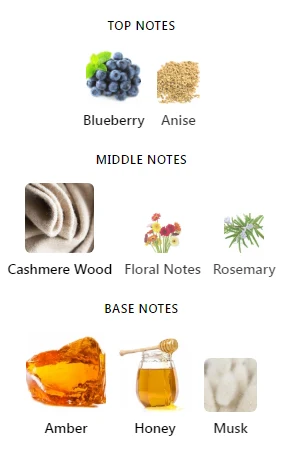 Kalemat Arabian Oud Notes