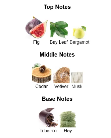 Le Labo Thé Noir 29 Perfume For Women Notes