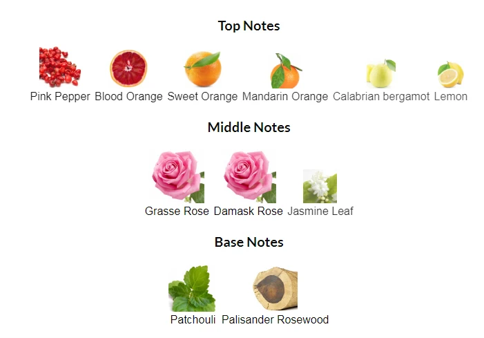 Miss Dior 2017 Perfume Notes
