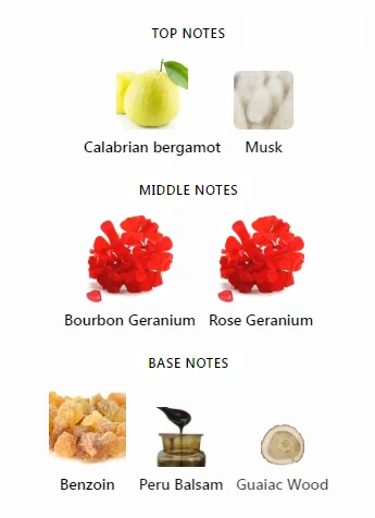 Paradigme Prada Notes