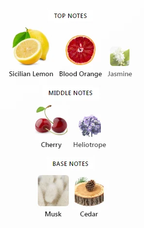 Q by Dolce & Gabbana Notes