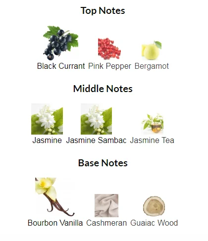 Valentino Donna Born In Roma Notes