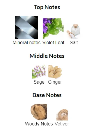 Valentino Uomo Born in Roma Notes