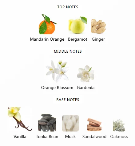 Voce Viva Valentino Notes