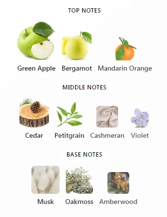 Aether French Avenue Notes
