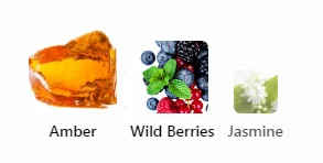 Bath & Body Works Into the Night Notes