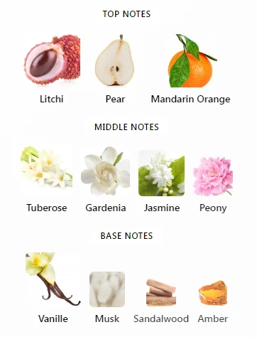 Cosmic Radiance Britney Spears Notes