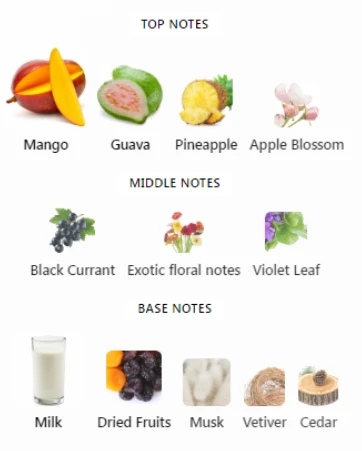 Cruz del Sur II Xerjoff Notes