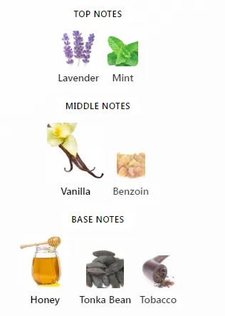 Le Male Elixir Jean Paul Gaultier Notes