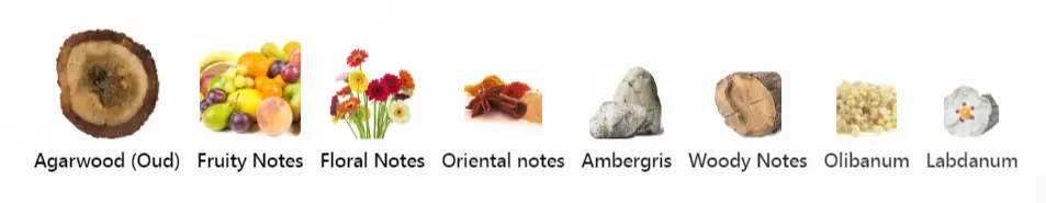 More Than Words Xerjoff Notes