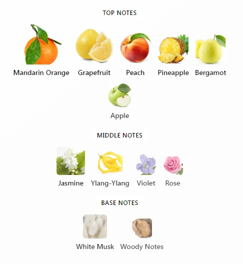 Sicily Mancera Notes