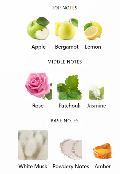 Starry Nights Montale Notes