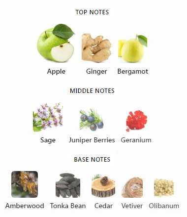 Y Eau de Parfum Yves Saint Laurent Notes