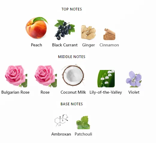 eLVes Louis Vuitton Notes