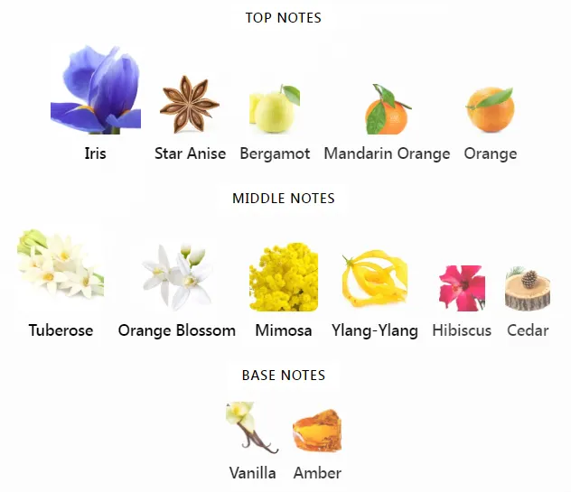 Acqua di Parma Iris Nobile Notes