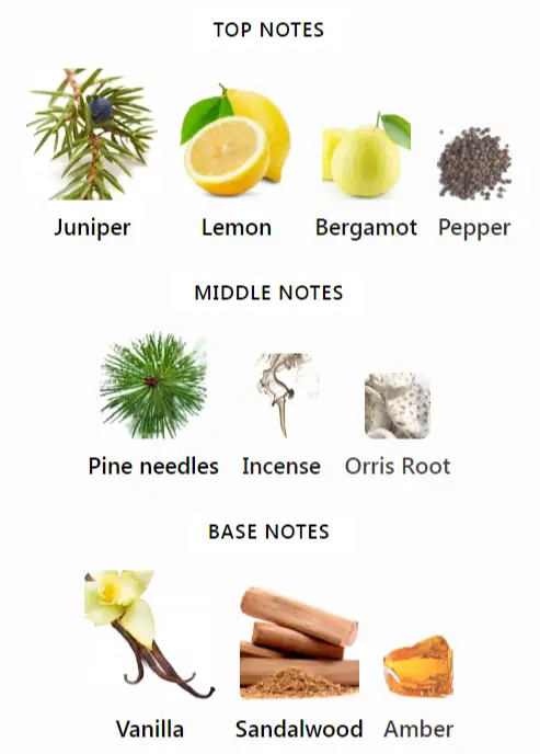 Byredo Gypsy Water Notes
