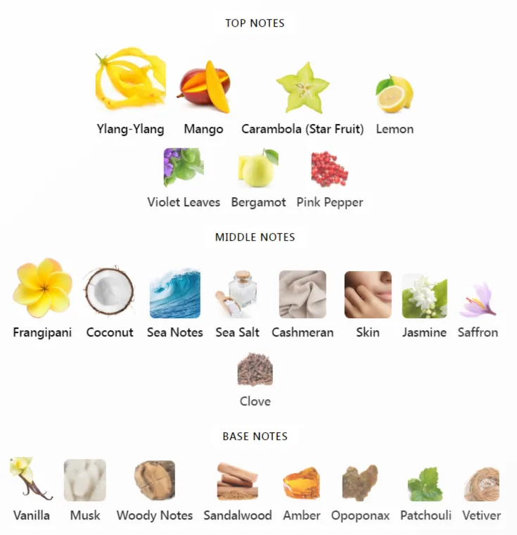 Chameleon Zoologist Notes