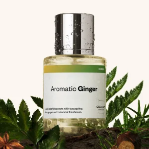 Dossier Aromatic Ginger