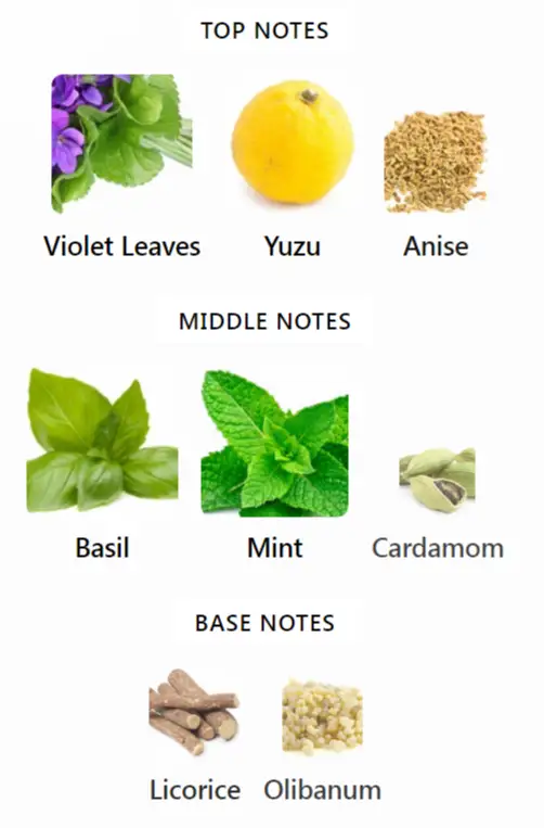 EGE / ΑΙΓΑΙΟ Nishane Notes