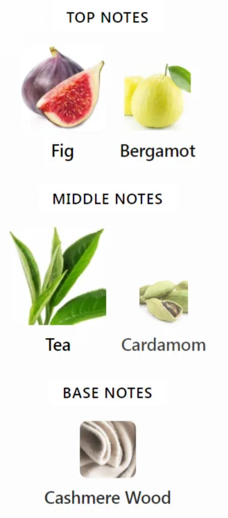 Indigo Nest Notes