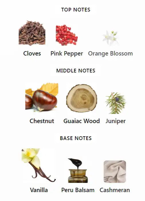 Maison Margiela By the Fireplace Notes