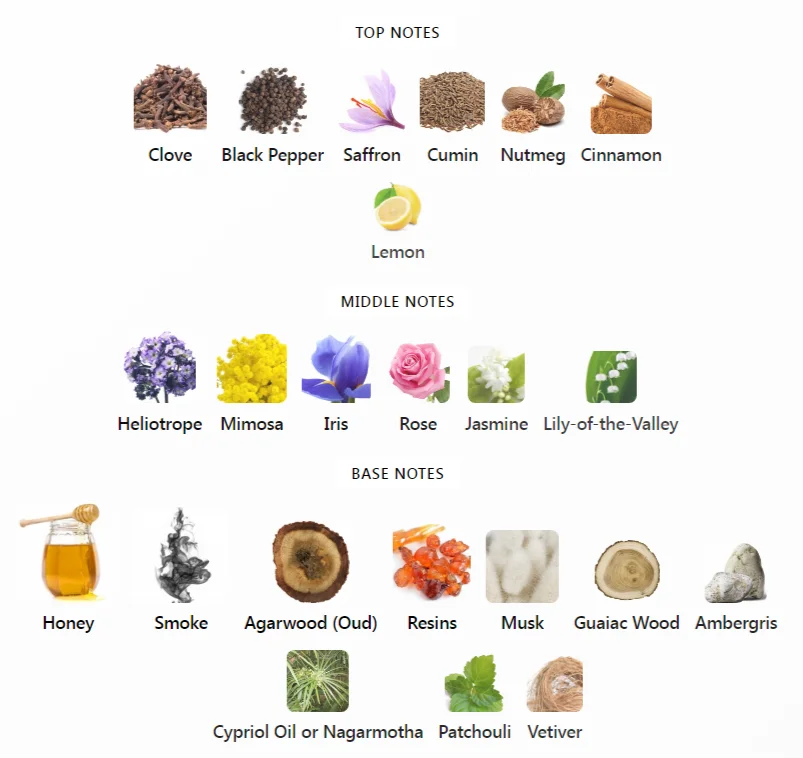 Moth Zoologist Notes