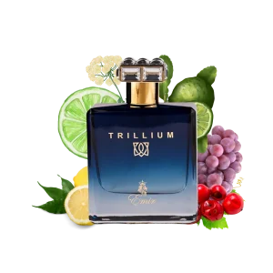 Paris Corner Emir Trillium