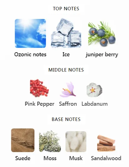 Penguin by Zoologist Notes