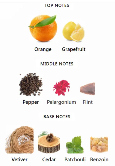Terre d'Hermès Notes