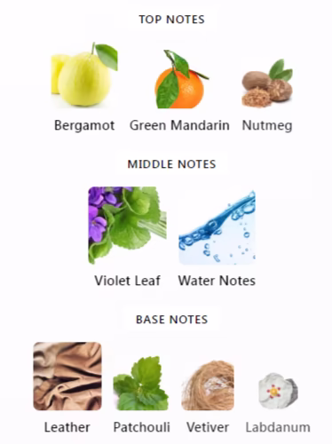 Acqua di Giò Elixir notes